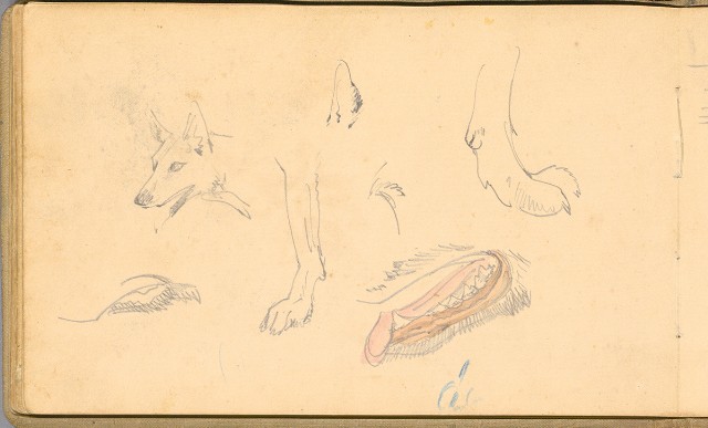 藏品:日籍時期婦女及狼犬等058的(54)張圖片