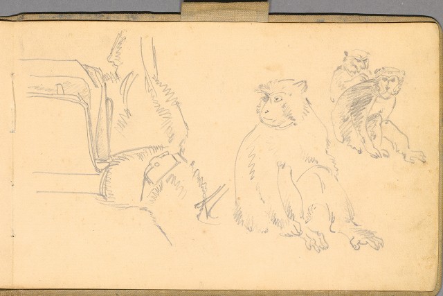藏品:日籍時期婦女及狼犬等058的(55)張圖片