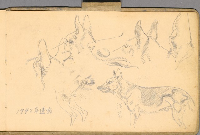 藏品:日籍時期婦女及狼犬等058的(57)張圖片