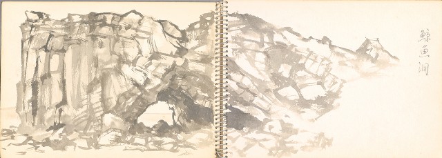 藏品:老樹幹、高山、鯨魚洞等061的(5)張圖片