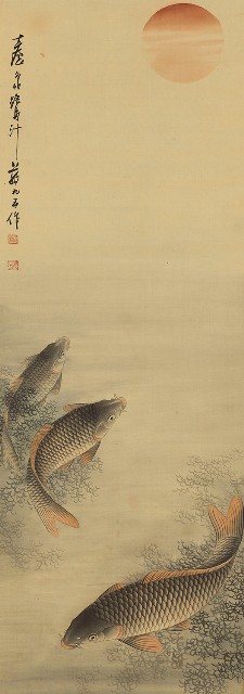 鯉魚圖的焦點圖